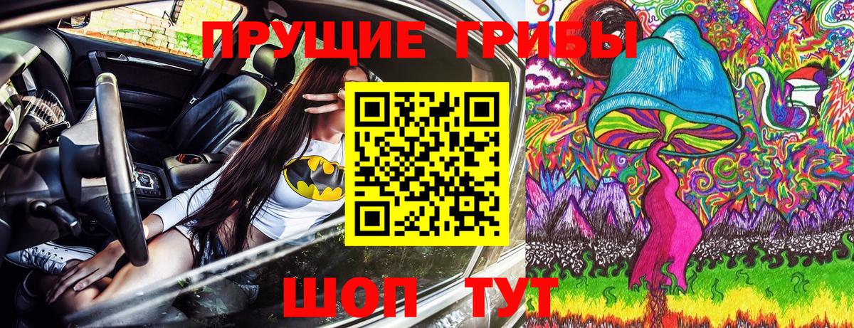Балашов  Псилоцибиновые грибы Cubensis  Галлюциногенные грибы GOLDEN TEACHER  Вход с VPN 