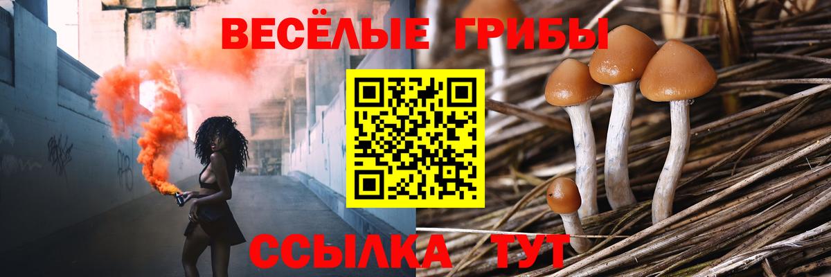 Псилоцибиновые грибы мицелий Балашов